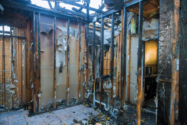 Professional Structural Rebuild technician working in Stafford, TX